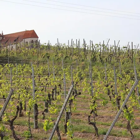 De L'ours Grognon Сasa de vacaciones *